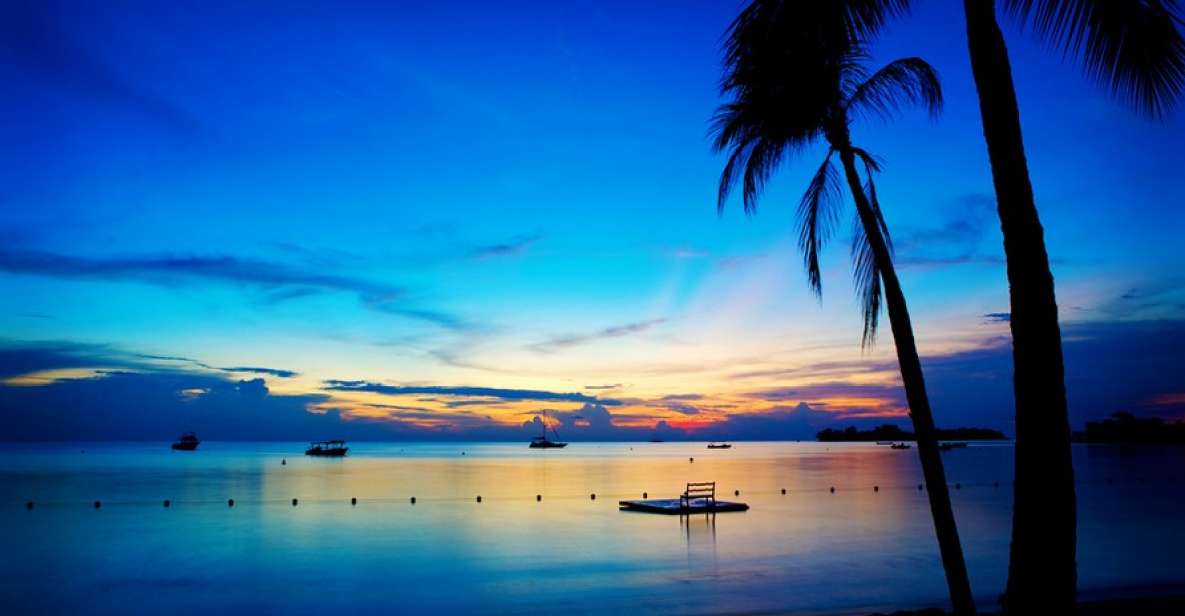 Negril 7-Hour Tour from Montego Bay - Key highlights you’ll actually care about