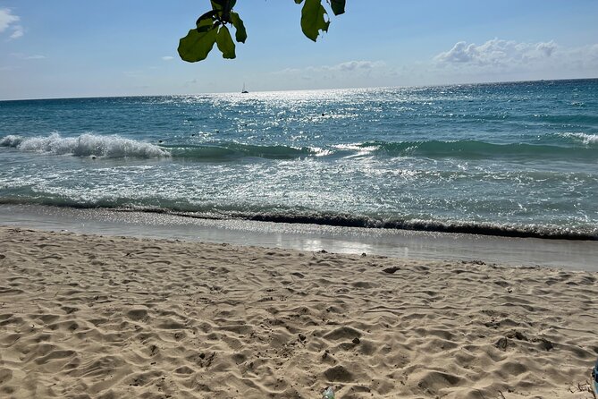 Negril 7 Mile Beach and Ricks Cafe Tour - Should You Book This Negril and Rick’s Café Tour?