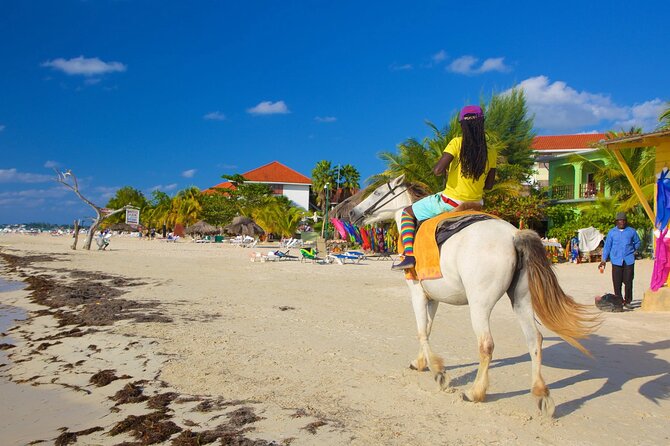 Negril 7 Mile Beach and Rick's Cafe Tour From Montego Bay Jamaica - Practical Tips So You Enjoy Every Stop