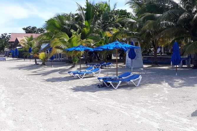 Negril 7 Miles Beach and Rick's Cafe Tour - Quick hits before you go