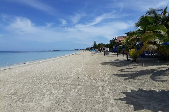 Negril 7 Miles Beach and Rick's Cafe Tour - Price and what you actually get for $131