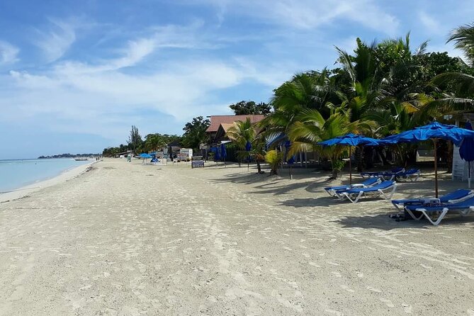 Negril 7 Miles Beach and Rick's Cafe Tour - Booking tips: timing and expectations