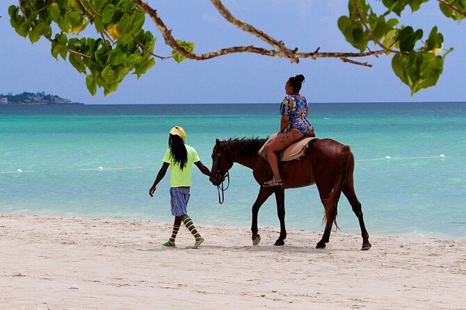 Negril Beach & Rick's Cafe Tour - Price and value: is $85.50 a good deal?