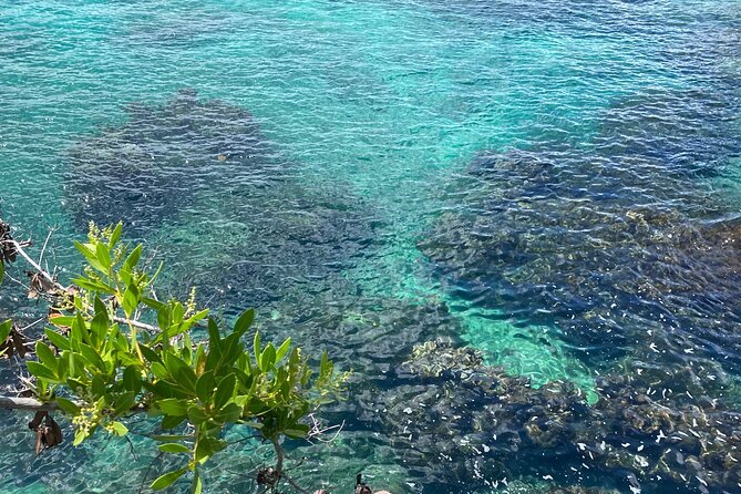 Negril day! beach and west end Cliffs with French Guide - Marie’s French guiding touches that make the day stick