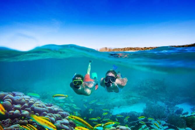 Negril Seven Miles Beach, Snorkeling, Boat Ride, Ricks Cafe Combo - Glass-bottom boat and snorkeling: reef stops where the action is