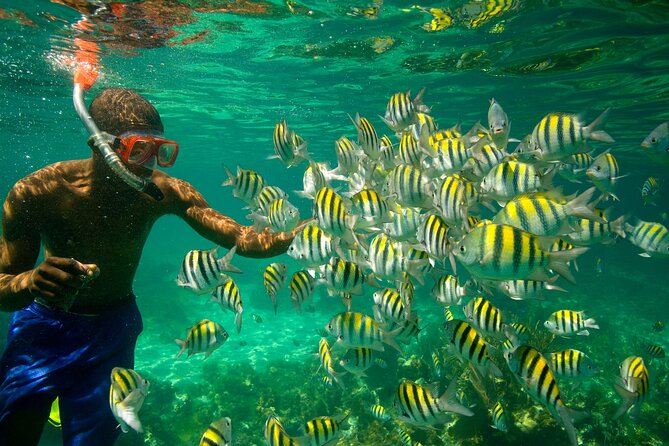 Negril Seven Miles Beach, Snorkeling, Boat Ride, Ricks Cafe Combo - Rick’s Cafe sunset: cliff-jump viewing, music, and starry sky time