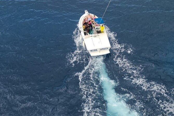 Negrils Seven Miles Beach, Rick's cafe and Parasailing Tour. - Rick’s Cafe cliff-jump viewing: plan it like a show