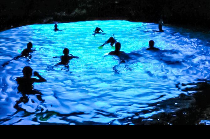 Night Tour-Luminating Blue Lagoon Waters - Easy Logistics From Montego Bay: Pickup, Private Transport, and a Small Crew