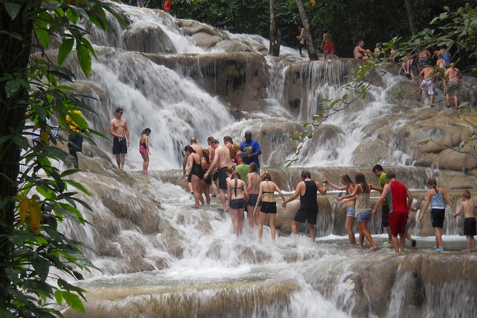 Ocho Rios Day Tour 3 in 1 Combo - Value Check: What $220 Includes (and Why It Matters)