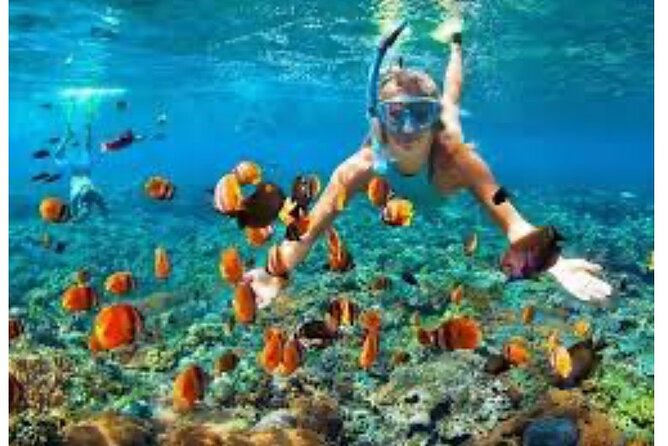Party Catamaran and Snorkeling Tour in Montego Bay - Weather Flexibility: The Part You Should Plan For