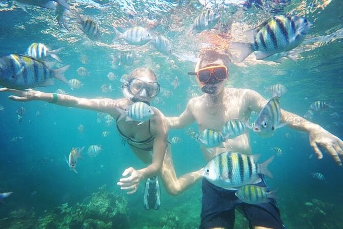 Party Catamaran Cruise with Open Bar and Snorkeling Montego Bay - The Reef Snorkeling Stop: Getting Your Sea-Life Moment