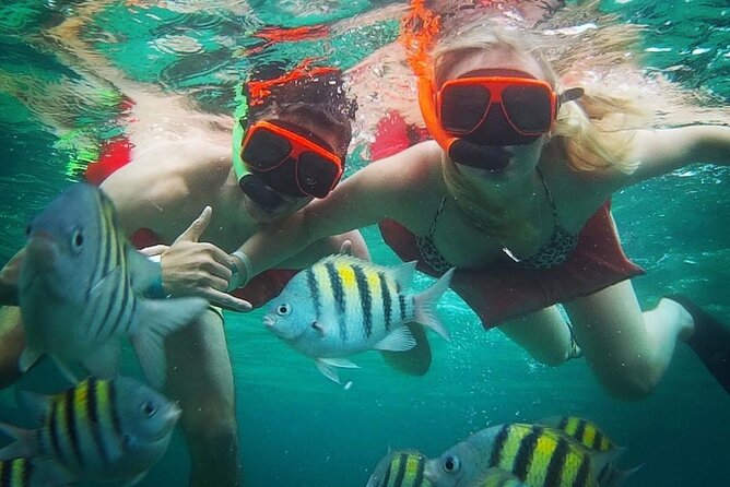 Party Catamaran Cruise with Open Bar and Snorkeling Montego Bay - Private Pickup, Shared Boat Ride: The Real Logistics