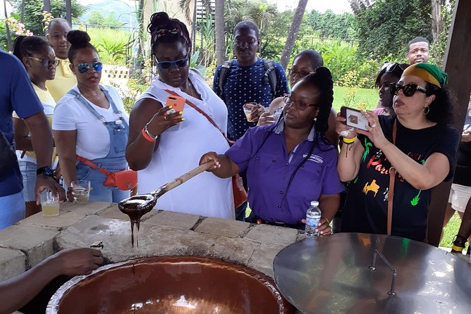 Pelican Bar, Appleton Rum Tour, YS Falls Jamaica south coast experience Montego - Who should book this Pelican Bar–Appleton–YS Falls day