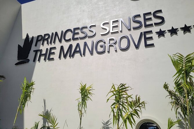 Princess Senses The Mangrove Airport Transfers - The Ride Itself: Chauffeured, Comfortable, and Focused on Safety