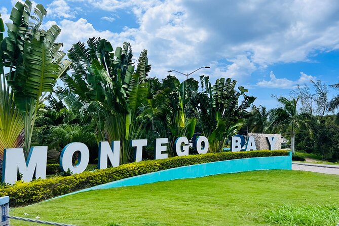Private Airport Transfer to Excellence, Ocean Coral and Royalton - Key highlights before you book