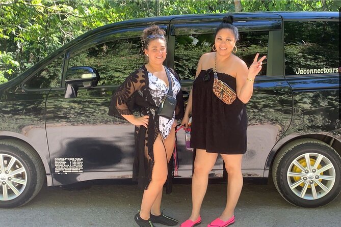 Private Airport Transfer to Excellence, Ocean Coral and Royalton - The ride itself: AC comfort, Wi‑Fi, and ice-cold Red Stripe