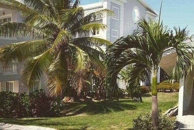 Private Airport Transfer to Lady Hamilton and Grand Palladium - Price and Value: Is $108 Worth It?