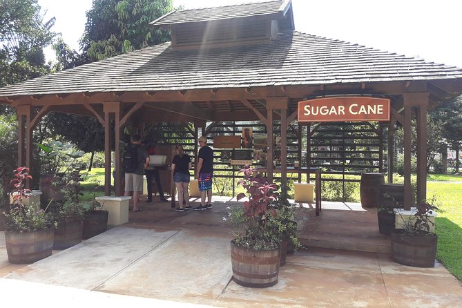 Private Appleton Estate Rum and Pelican Bar Tour from Montego Bay - Appleton Estate Joy Spence: From sugar cane to a tasting route