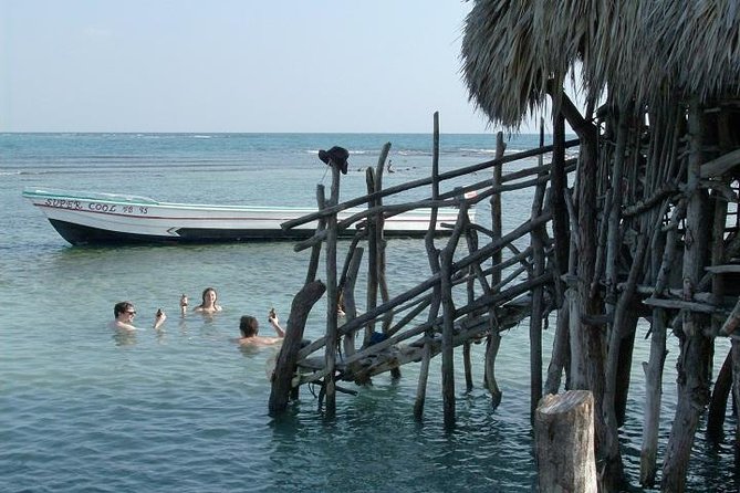 Private Appleton Estate Rum and Pelican Bar Tour from Montego Bay - Price and value: what $230 covers (and what it doesn’t)