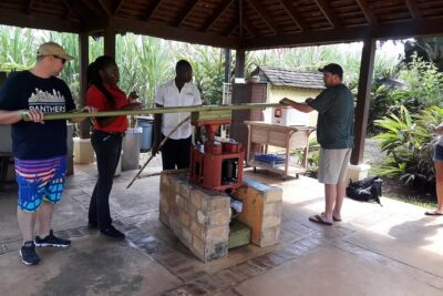 Private Appleton Estate Rum and Pelican Bar Tour from Montego Bay - The aging house and documentary: where the story gets practical