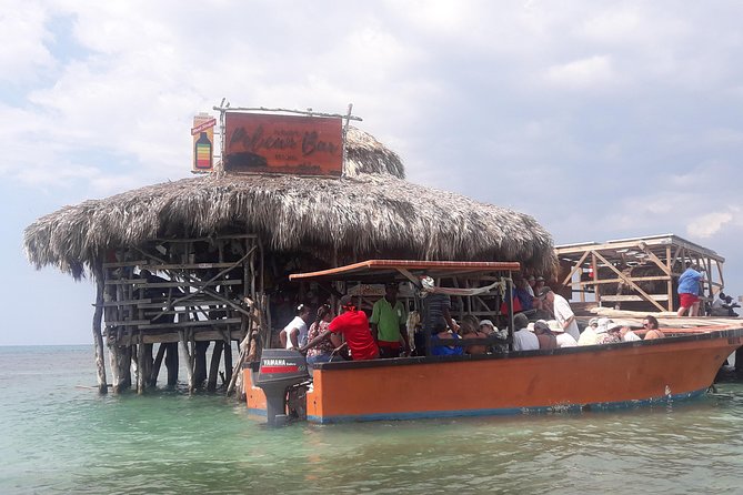 Private Appleton Estate Rum and Pelican Bar Tour from Montego Bay - Who this tour fits best in Montego Bay