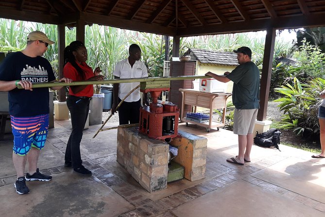Private Appleton Estate Rum and Pelican Bar Tour from Montego Bay - The aging house and documentary: where the story gets practical