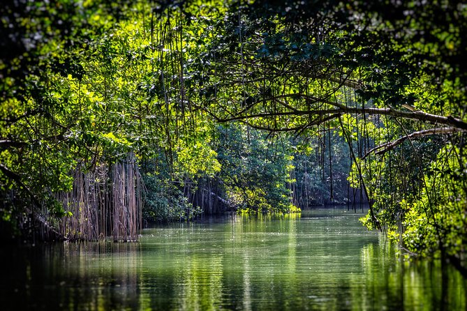 Private Appleton YS Falls and Black River Tour from Montego Bay - Lunch, pacing, and the long-day reality