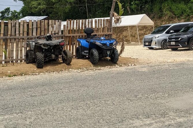 Private ATV Ride 7 Mile Beach & Rick’s Café Negril Tour - Food and drinks: jerk chicken lunch plus included refreshments