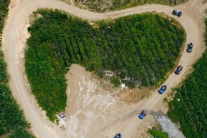 Private ATV Ride 7 Mile Beach & Rick’s Café Negril Tour - Getting picked up right: AC, WiFi, and onboard comfort