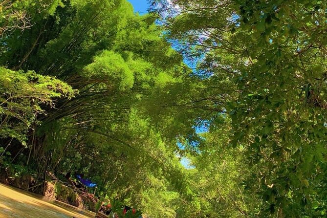 Private Bamboo River Rafting & Foot Massage from Montego Bay - Common Snags to Watch For (and How to Avoid Them)