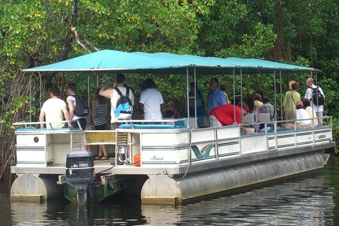 Private Black River Safari Tour from Montego Bay - Key Highlights Worth Knowing