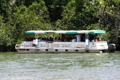 Private Black River Safari Tour from Montego Bay - Price and Value: What the $160 Gets You
