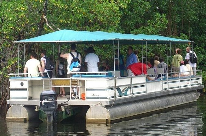 Private Black River Safari Tour from Montego Bay - Who Should Book This Private Safari?