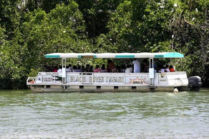 Private Black River Safari Tour from Montego Bay - Price and Value: What the $160 Gets You