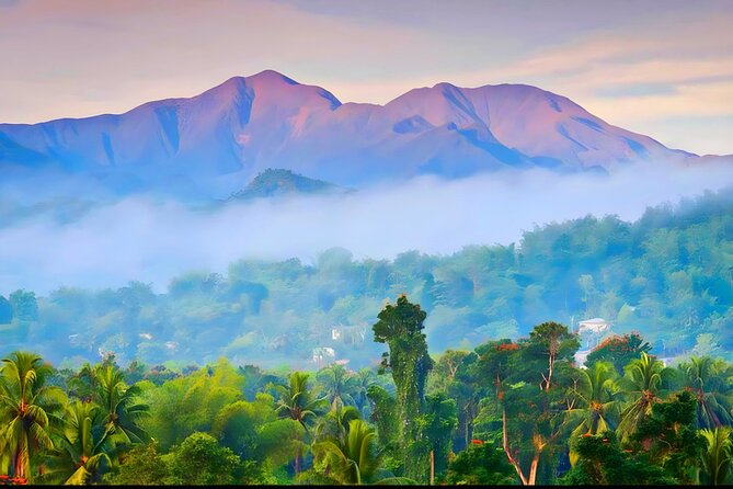 Private Blue Mountain tour from Ocho Rios - Key highlights to look for