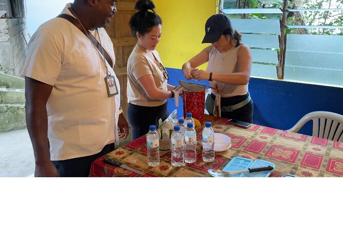 Private Blue Mountain tour from Ocho Rios - Lunch, water, and the quiet comfort of a private ride