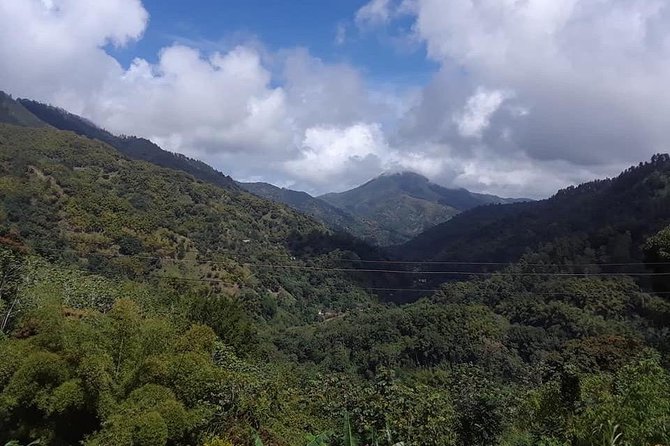 Private Blue Mountain tour from Ocho Rios - The road trip up: Goldeneye, exclusive communities, and real countryside