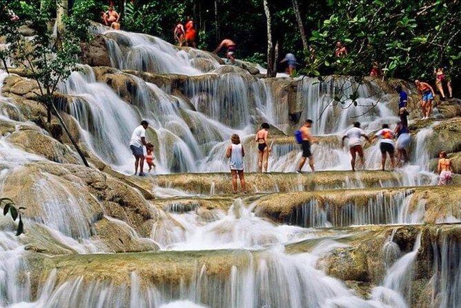Private Bob Marley 9 mile & DunnsRiverFalls Tour from Montego Bay - Dunn’s River Falls and Park: the climb, the limestone, and the timing