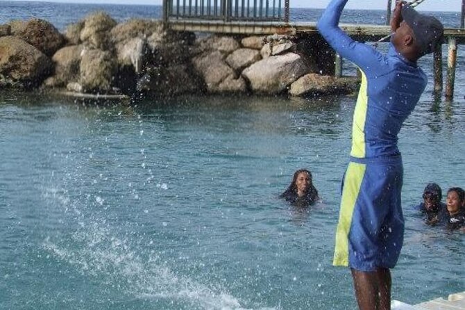 Private Dolphin Cove Adventure - Getting There Smoothly: Pickup, Drivers, and Timing