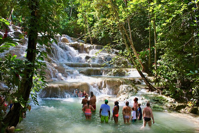 Private Dunn's River Falls Adventure from Montego Bay - Key highlights you’ll feel on the day