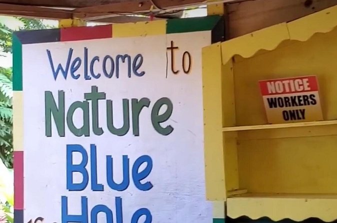 Private Dunns River Falls and Blue Hole from Montego Bay Tour - Trek vs. Zipline: How to Pick Without Regretting It