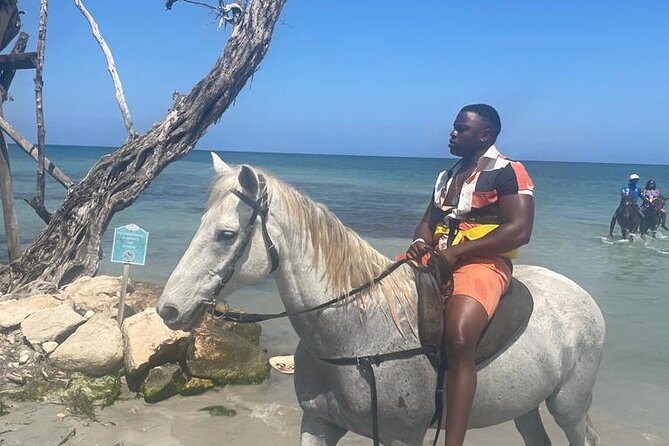 Private Dunns River Falls and Horse Back Riding - Key highlights at a glance