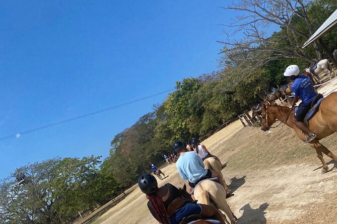 Private Dunns River Falls and Horse Back Riding - Dunn’s River Falls with VIP entry, benches, and real time for photos