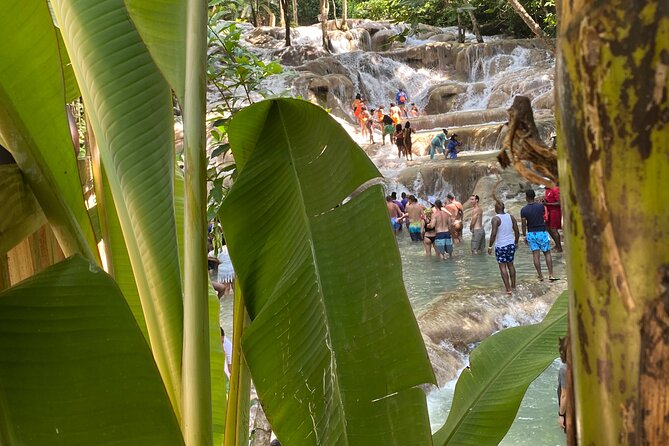 Private Dunns River Falls and Horse Back Riding - Price and value: is $110 per person worth it?