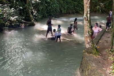Private Dunns River Falls and Horse Back Riding - Saint Ann Parish horseback riding: pick your mount, name it, and ride