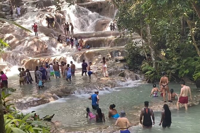Private Dunns River Falls and Horse Back Riding - Service that feels personal: Adrian, Runna and Wayne, and Floyd