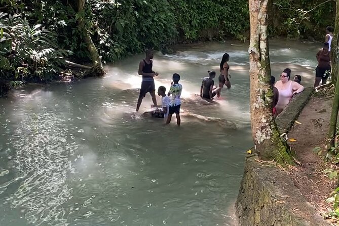 Private Dunns River Falls and Horse Back Riding - Saint Ann Parish horseback riding: pick your mount, name it, and ride