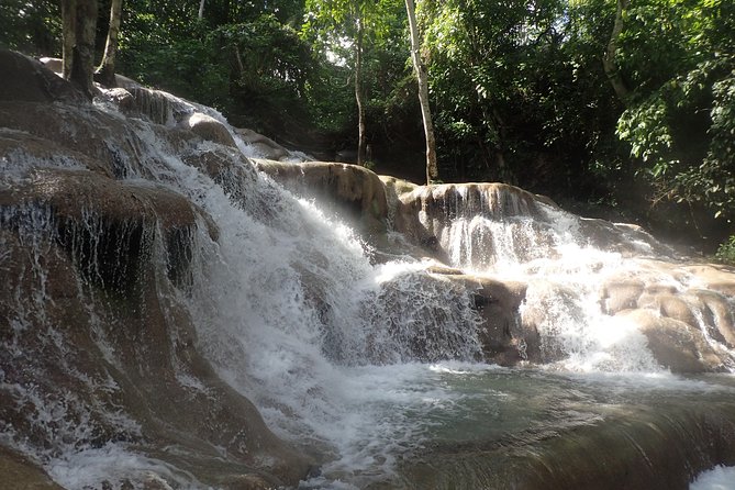 [PRIVATE] Dunn's River Falls, Blue Hole & Secret Falls w/Entrance - Dunn’s River Falls: your climb choices and the family-friendly park