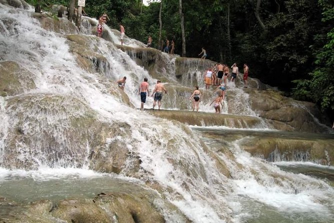 [PRIVATE] Dunn's River Falls with Entrance Fees - Getting there from Montego Bay: private pickup that saves your day