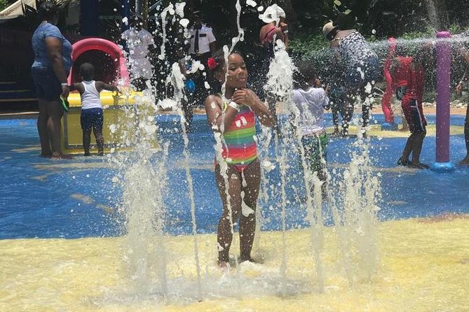 [PRIVATE] Dunn's River Falls with Entrance Fees - Price and value: is $158.11 a good deal for your day?